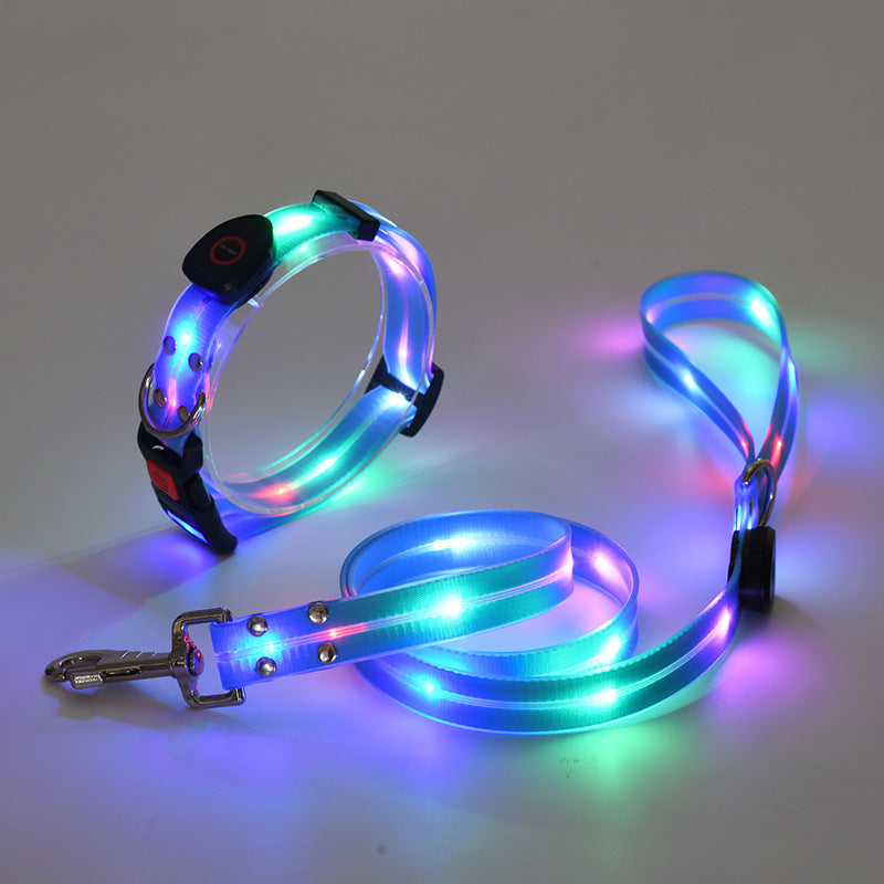 LED-Hundehalsband und Leine, bunt leuchtend, für Nachtspaziergänge, sicherheitsfördernd.