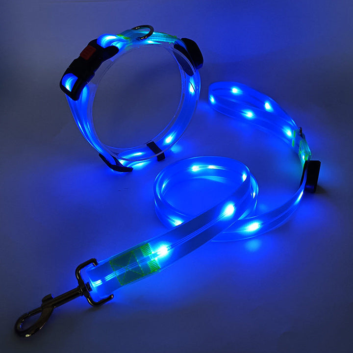 Leuchtendes LED-Hundehalsband und -leine, blau, für Sicherheit bei Nachtspaziergängen.
