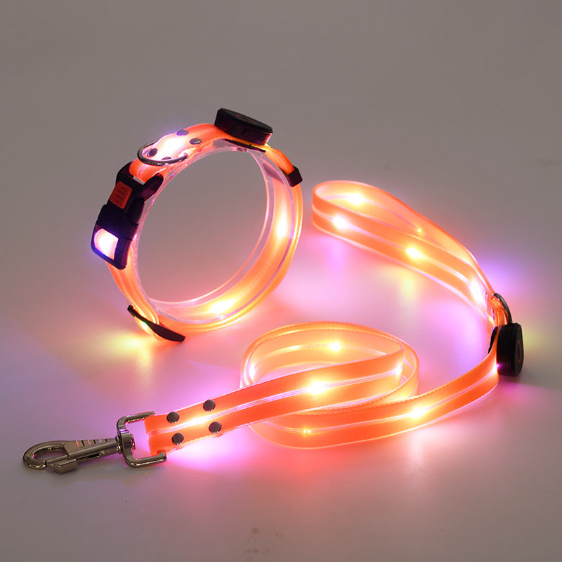 Leuchtendes LED-Hundehalsband und Leine, orange, für Nachtspaziergänge, sicherheitsoptimiert.