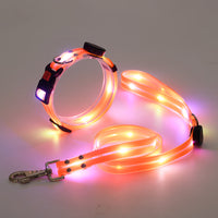 Leuchtendes LED-Hundehalsband und Leine, orange, für Nachtspaziergänge, sicherheitsoptimiert.