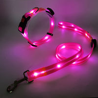 Leuchtendes rosa LED-Hundehalsband und Leine, verstellbar, für Nachtspaziergänge.