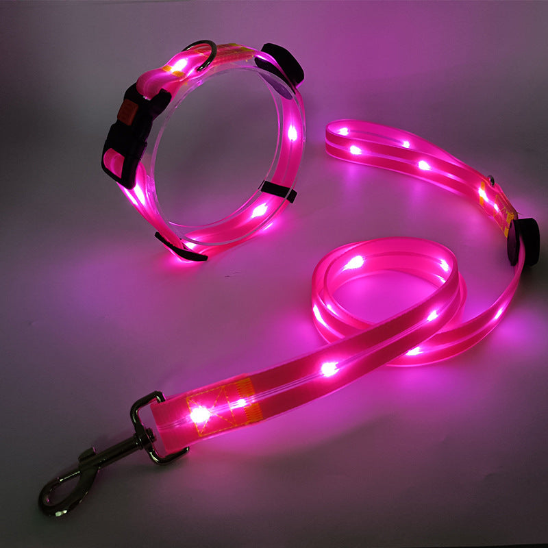 Leuchtendes rosa LED-Hundehalsband und Leine, verstellbar, für Nachtspaziergänge.