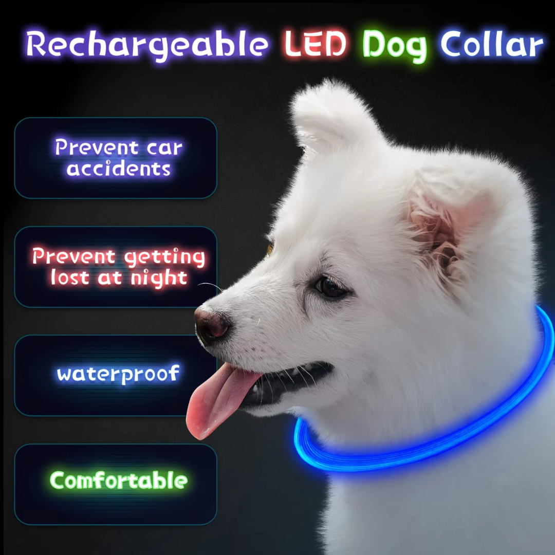 Aufladbares LED-Hundehalsband, wasserdicht, verhindert Unfälle, bequem, nachts sichtbar.