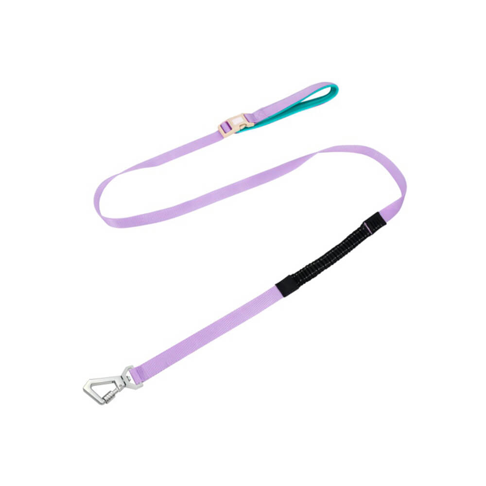 Lila Hundeleine, leicht, wasserdicht, atmungsaktiv, Anti-Zug, multifunktional, mit Karabiner.