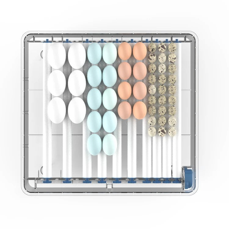 Automatische Brutmaschine – HatchEase