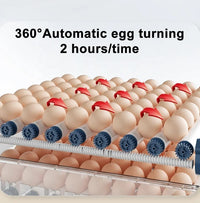 Automatische Brutmaschine – HatchEase