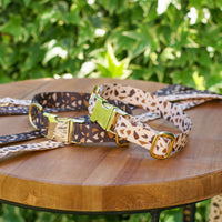 Hundehalsschmuck mit goldenen Akzenten – GoldenTerra