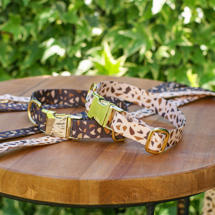 Hundehalsschmuck mit goldenen Akzenten – GoldenTerra