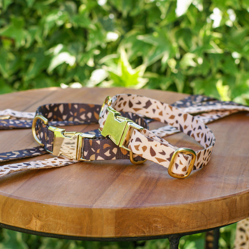 Hundehalsschmuck mit goldenen Akzenten – GoldenTerra