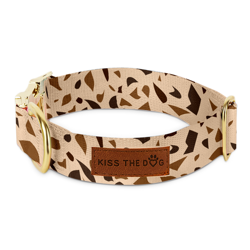 Hundehalsschmuck mit goldenen Akzenten – GoldenTerra
