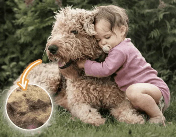 Kleinkind umarmt flauschigen Hund im Garten, Fokus auf Tierhaare, Haustierpflege, Fellentferner.