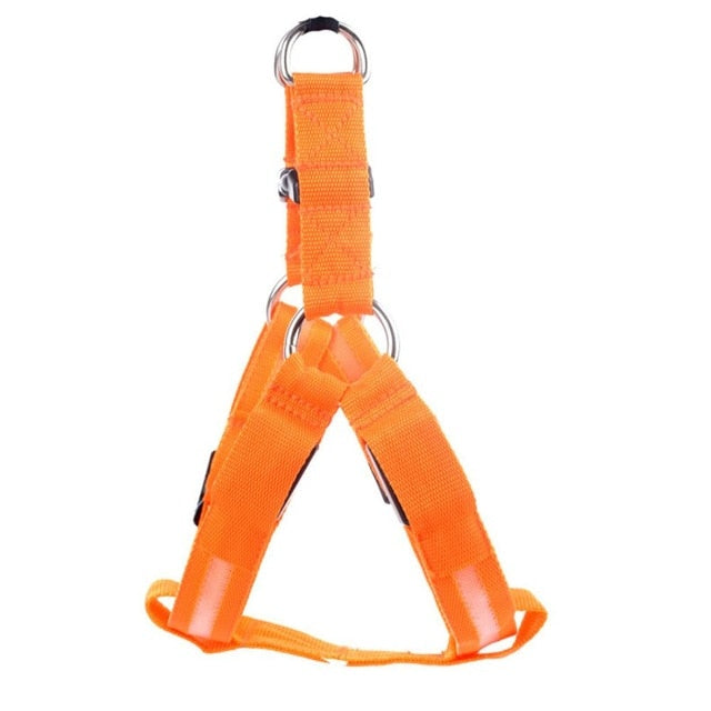 Orange Hundegeschirr, verstellbar, strapazierfähig, Nylon, für kleine bis mittelgroße Hunde.