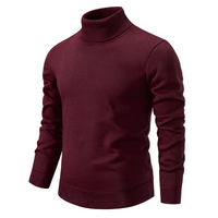 Weicher & Bequemer Herren Rollkragenpullover aus Baumwolle – Jonas