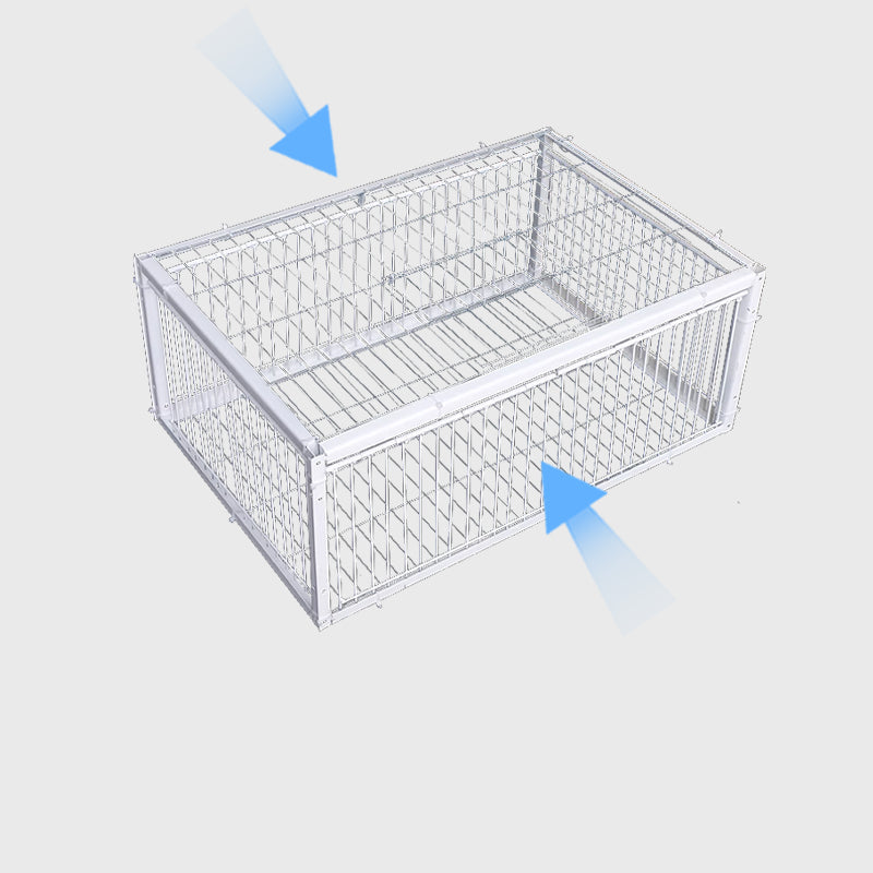 Tierschonende Vogelfalle mit Rückschlagsicherung – BirdSafe Falle