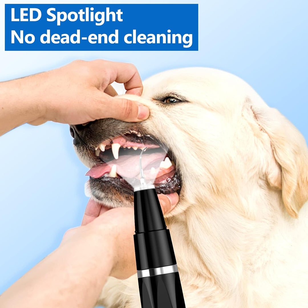 Ultraschall-Zahnpflegegerät für Hunde, LED-Licht, Plaque-Entferner, Zahnhygiene, schwarz