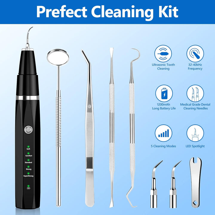 Ultraschall-Zahnreinigungsset für Haustiere, schwarz, Edelstahlwerkzeuge, LED-Licht.