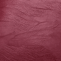 Premium wasserdichter Lederrucksack für Damen